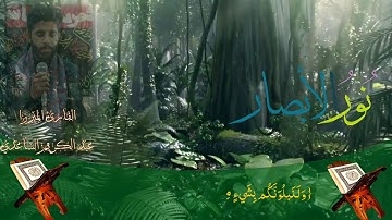 القارئ الميرزا عبدالكريم الساعدي