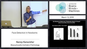 7.4 - Face Detection in Newborns