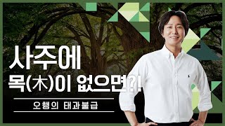 사주에 목 木 이 없으면?! 오행의 태과불급
