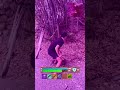 #fortnite
