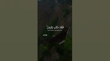 أولم يروا إلى الطير فوقهم صفت ويقبضن ما يمسكهن إلا الرحمن إنه بكل شىء بصير سورةالملك ايه١٩شريف مصطفى