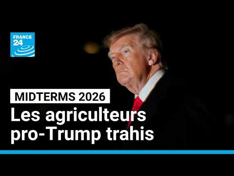Midterms : les agriculteurs pro-Trump se sentent trahis • FRANCE 24