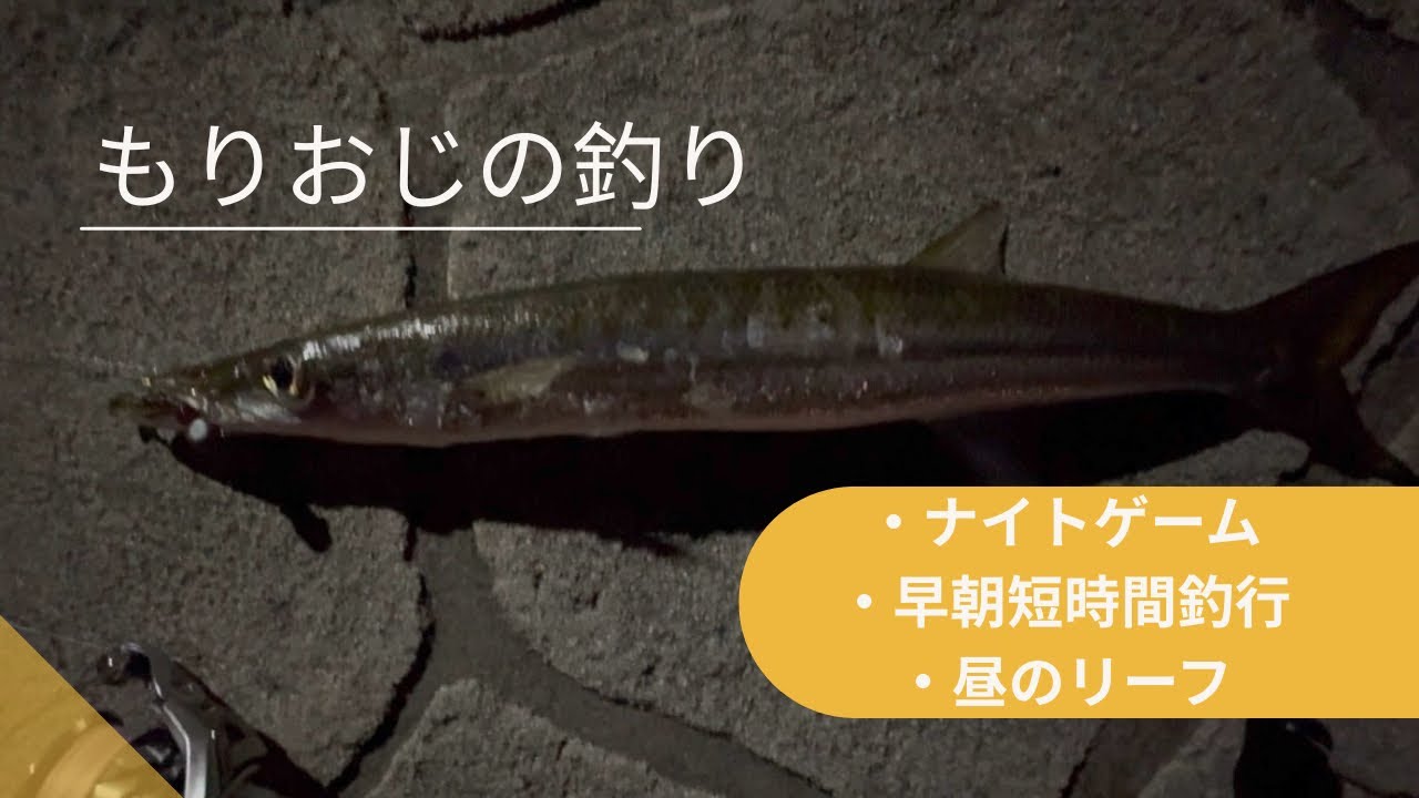 【沖縄釣り】釣れない冬の海、それでも釣りが好きなんです。（カマス、メッキ、メギス編）