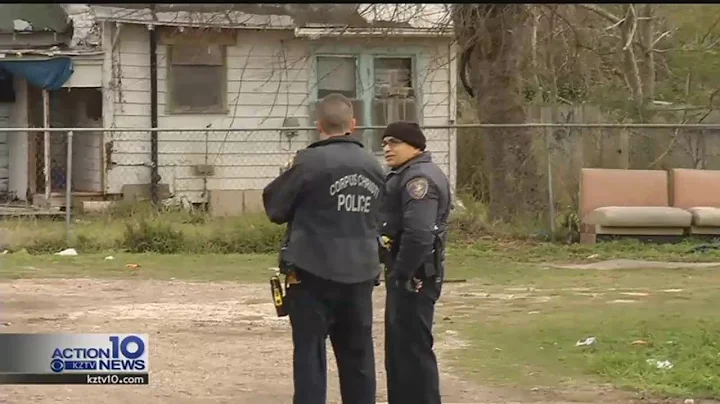 Pit bulls shot and killed after attacking CCPD officers