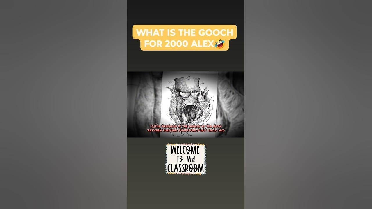 WHAT IS THE GOOCH YouTube