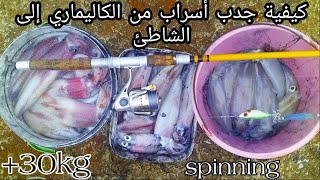 أفضل طريقة لصيد الكاليماري من الشاطئ بكمية كبيرة pêche_kalamar_spinning#