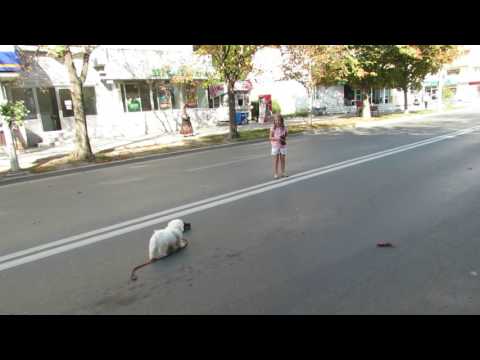 YouTube video