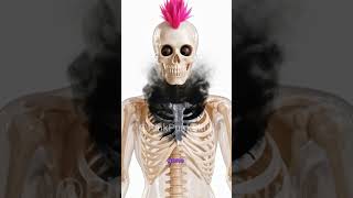How Many Cigarettes Can You Smoke Before You Die ? #shorts #uniquefacts  #3danimation