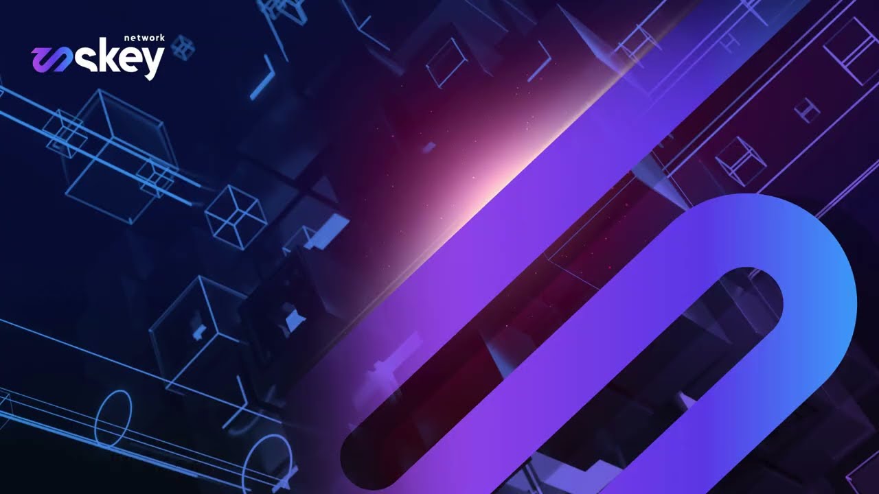 SkeyNetwork - stress-test Skey Bridge - 301 transakcji