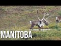 Manitoba Canada