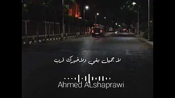 تجرب معاك كل الحلو 12 مطعم