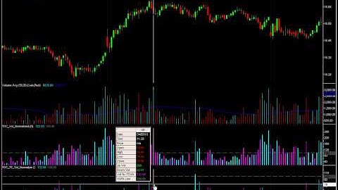 Time Segmented Volume - The Undistorted TradeStation Indicator