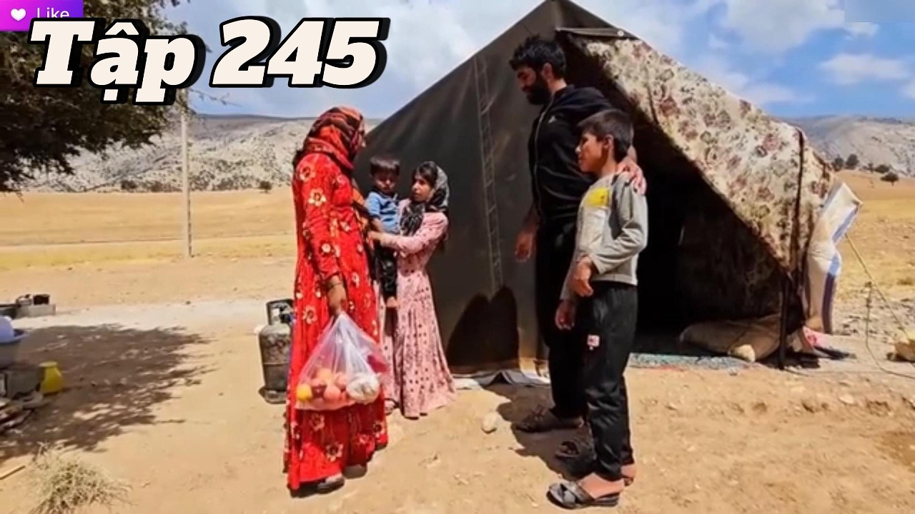 3 Anh Em - Tập 245 | Ba Anh Em Hamid Hạnh Phúc Đón Tin Vui: Mẹ Đỡ Đầu Trở Lại