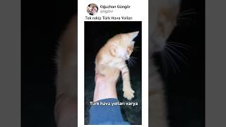 Turuncu Belayı Beğenelim Arkadaşlar 👍