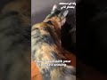 أفضل طرق منع الشخير