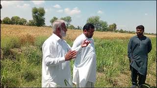 #discussion with dev staff about control measures against borers & sucking pests of sugarcane.