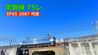 常磐線75列車 EF65 2087代走 2026.1.31(土)