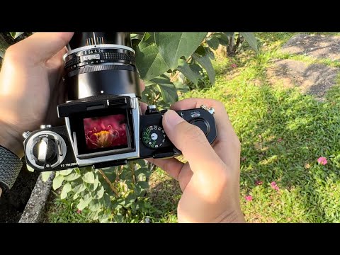 腰平取景的世界Waist Level Viewfinder 【EP3】尼康Nikon F2 + 镜头