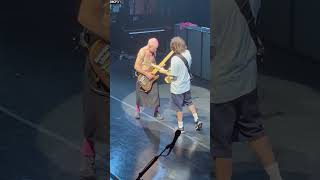 Download Lagu Red Hot Chili Peppers Proves That Sometimes Less Is More!!! #Shorts #RedHotChiliPeppers MP3