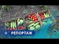 Репортаж: Сельское хозяйство в Ленске