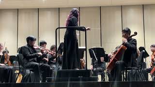 Nepomuk's Dances: Memory - Marcelo Zarvos - Chamber Orchestra
