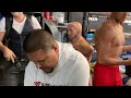 FERNANDO VARGAS OPINA HONESTAMENTE SOBRE CANELO ÁLVAREZ vs WILLIAM SCULL, CRAWFORD & DAVID BENAVIDEZ