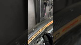 Vitoria Corsa Pro Tires after 100km