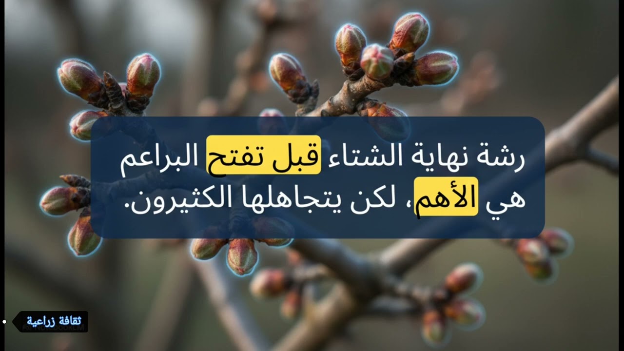 رشّ النحاس: متى؟ ولماذا؟ ومن يخطئ فيه؟