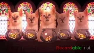 The ElfYourself Series Part 2/2