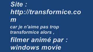 Je donnes mon compte transformice (No hack)