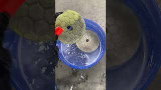Deep Clean Your Polishing Pads!