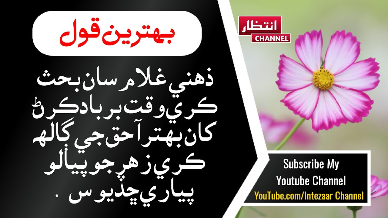 Sindhi Motivational Quotes | Zehni Ghulam San | Sindhi Qol | Life Change Quotes In Sindhi