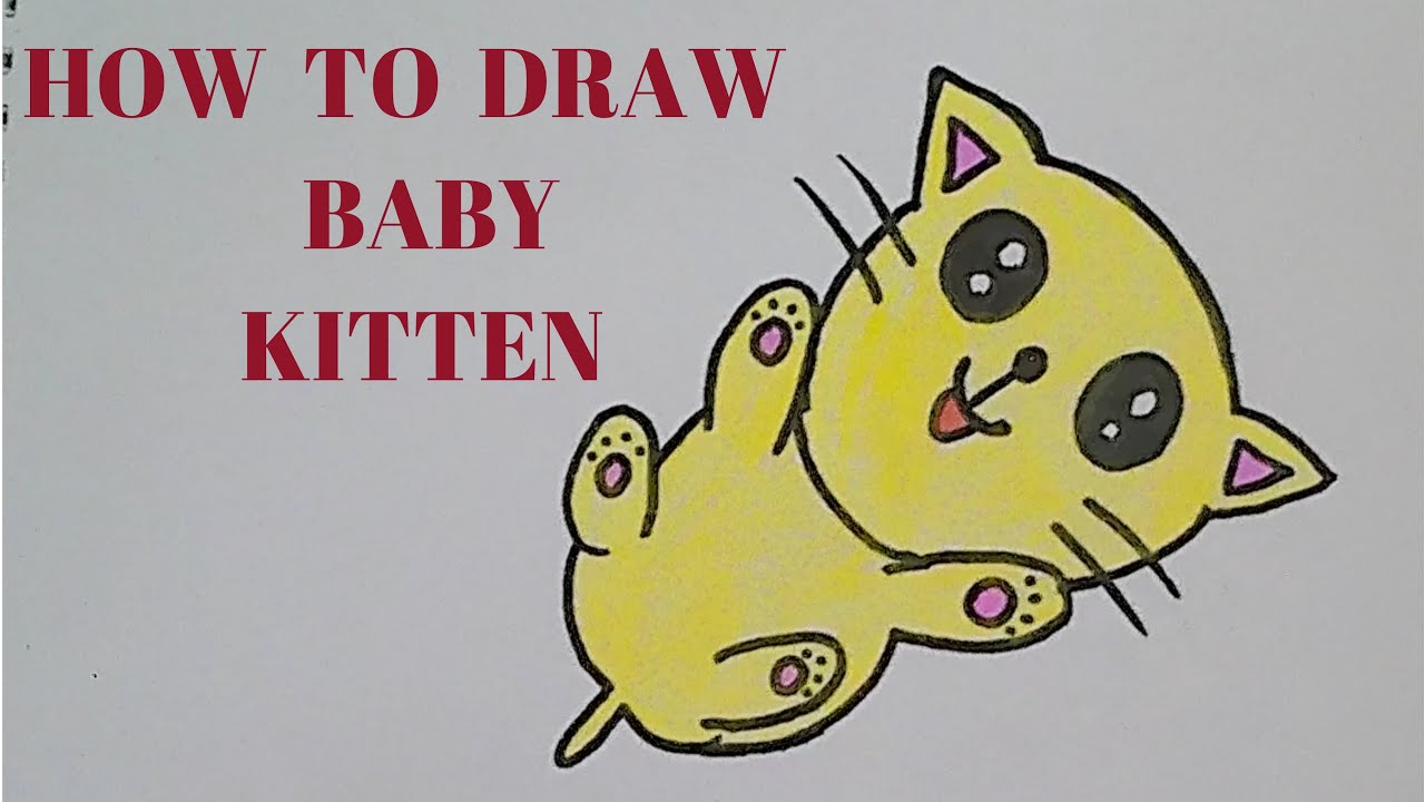 HOW TO DRAW A BABY KITTEN KOR KIDS YouTube
