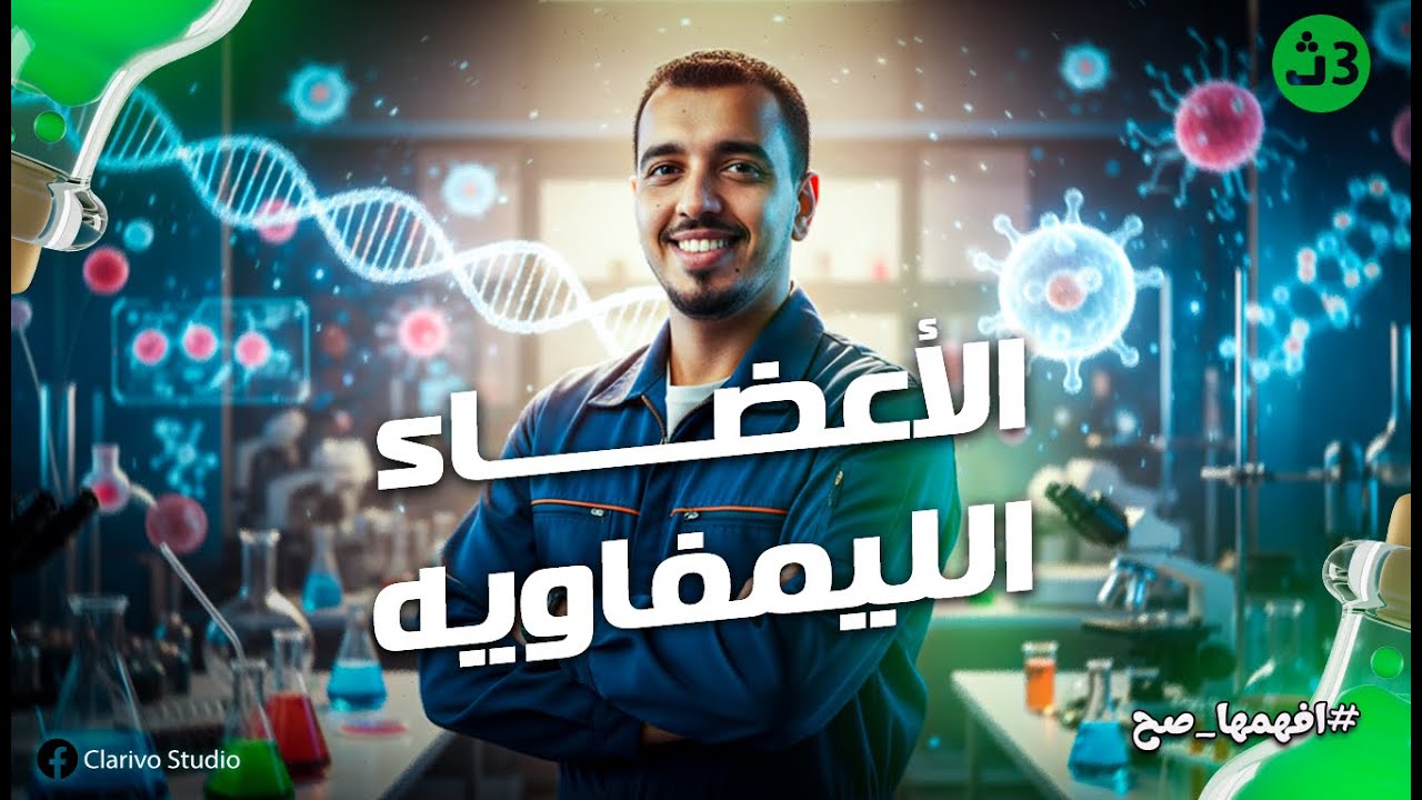 الأعضاء الليمفاوية | احمد رمضان