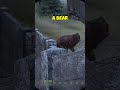 WHEN THE BEAR JOINS YOUR TEAM IN DAYZ