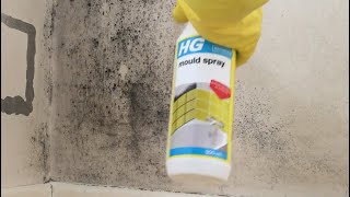 Remove black mould and mildew from bathroom and kitchen wall using HG mould spray from B&Q, Wickes.