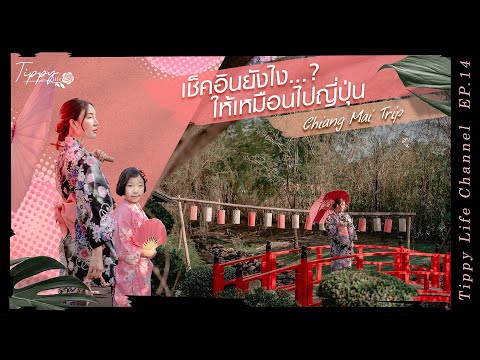 พาลูกเที่ยวญี่ปุ่น ใน เชียงใหม่Lemeridien chiangmai,Nekoemon cafe,transit8 l Tippy Life EP.14