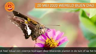Wereldbijendag
