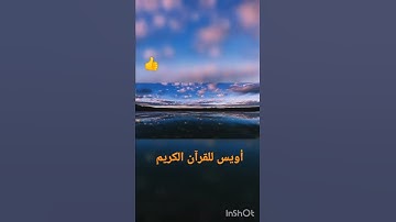 أواخر سورة المعارج 😓😥 تلاوة رائعة لاسلام صبحي