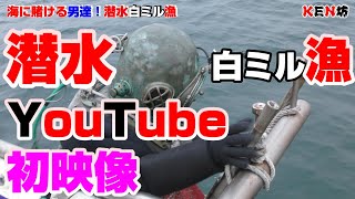 白ミル貝漁YouTube史上初映像【潜水漁師密着取材水中映像】前編