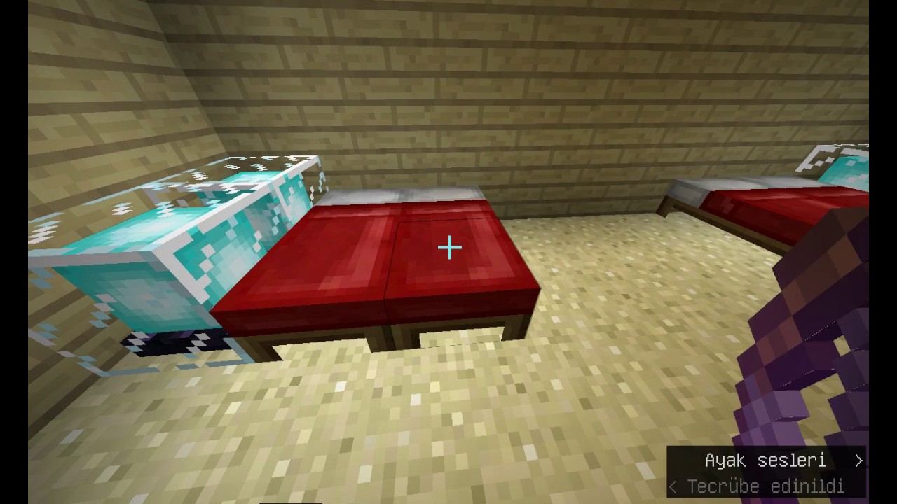 mınecraft ev