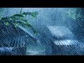 HELP YOU Sleep Instantly in 3 Minutes | Hurricane, Tropical Rainstorm &amp; Huge Thunder on Stormy Night