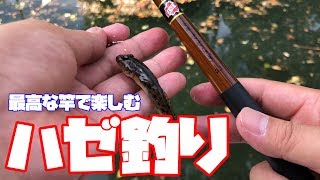 ハゼ釣りワンランク上の竿を求めた結果【金剛せせらぎ2.1M】