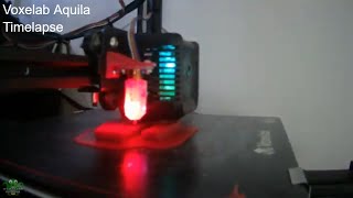 Voxelab Aquila 3D Printer Timelapse