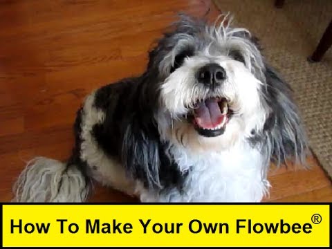 flowbee for dogs how to make your own flowbee flowbee for dogs how to make your own flowbee