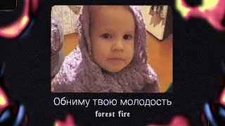 Forest Fire - Обниму твою молодость (lyric video)