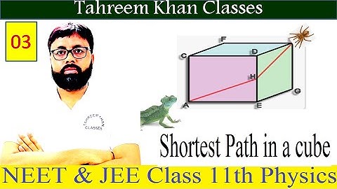 Shortest distance in a #Cube II Cuboid I Spider and fly problems II NEET JEE advanced