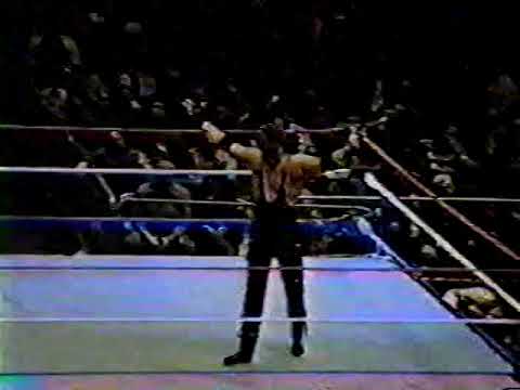 Wwf Msg Royal Rumble 1994