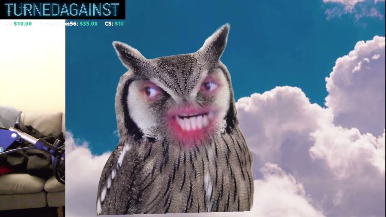 Where are the FREAKIN BLUEPRINTS SHEEESH. Immersive Arc Raidin' o7