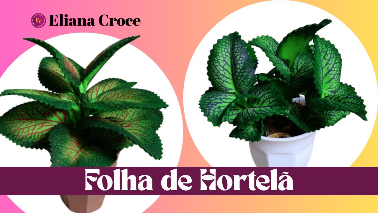 Ideias de Arranjos de folhas com folha naturais